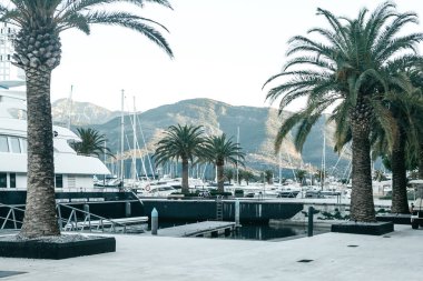 Yatların güzel görünümü.