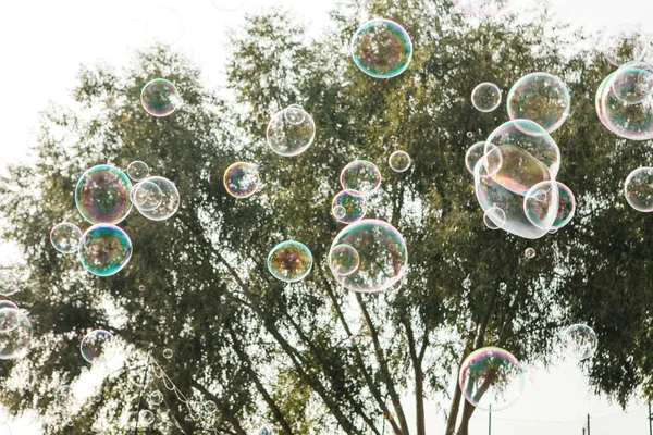 石鹸の泡が空中を飛ぶ. — ストック写真