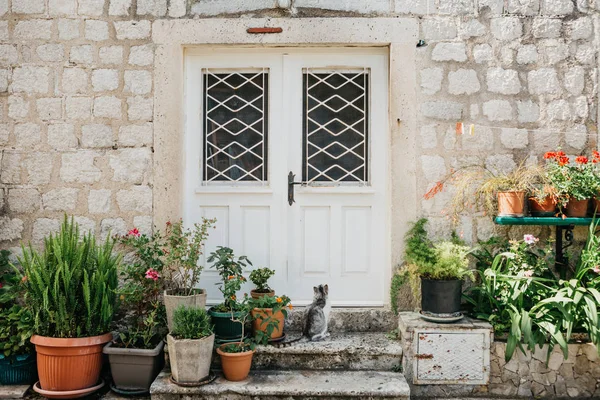 La porta della casa . — Foto Stock