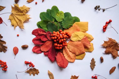 Sonbahar soyut tasarım.