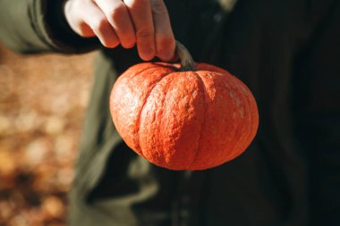 Bir kişi bir balkabağı tutar.