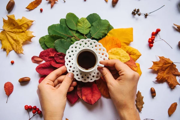 Gadis minum teh di musim gugur — Stok Foto