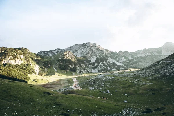 Hegyre néző. Montenegró. — Stock Fotó