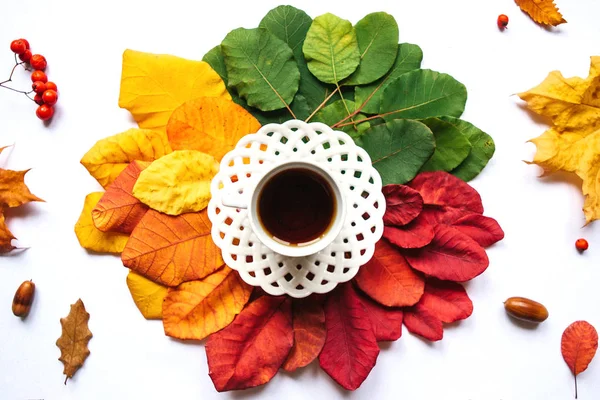 Šálek černého čaje. Podzimní design — Stock fotografie