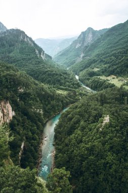 Karadağ 'daki Tara Nehri Kanyonu.