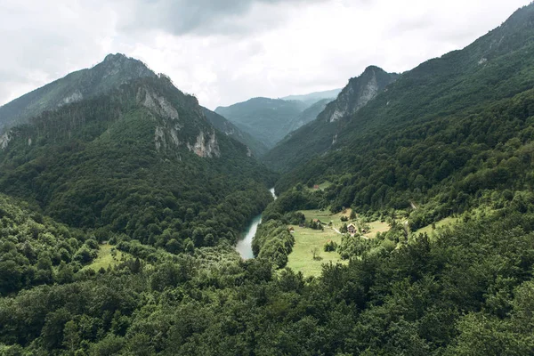 Tara folyó kanyon Montenegróban. — Stock Fotó