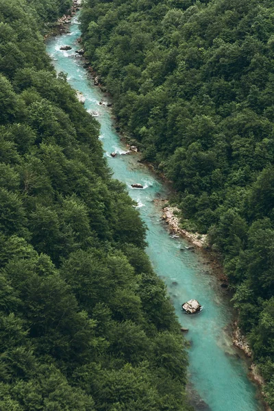 Tara-Schlucht in Montenegro. — Stockfoto