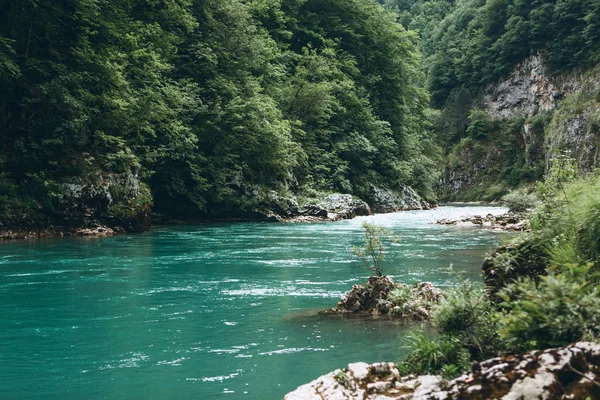 Tara-Schlucht in Montenegro. — Stockfoto