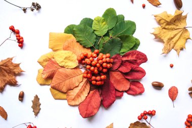 Sonbahar soyut tasarım.