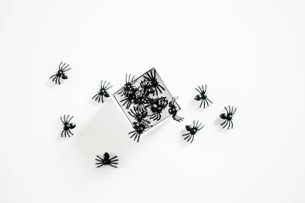 Spiders climb out of the gift box.