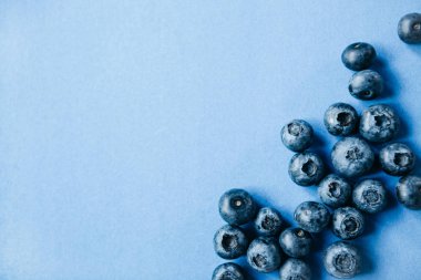 Mavi arkaplanda yabanmersini