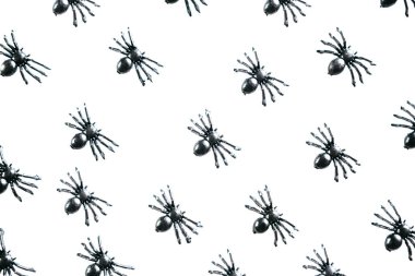 Beyaz arka plan üzerinde siyah örümcekler.