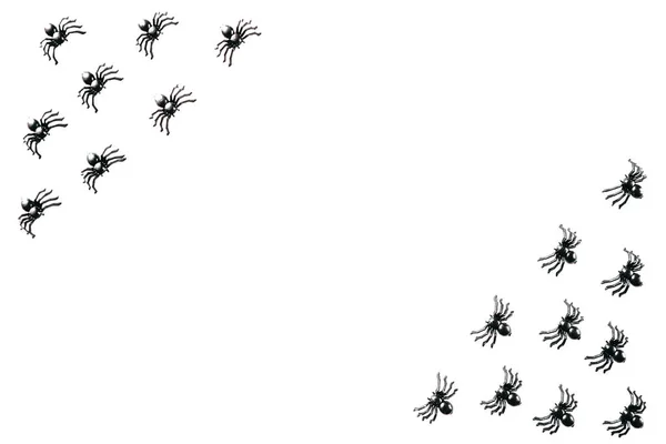 Чёрные пауки на белом фоне . — стоковое фото