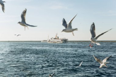 İstanbul 'da İstanbul Boğazı boyunca giden yolcu gemisi veya feribot