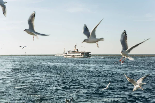 터키의 이스탄불에서 보스포러스를 항해하는 수송선이나 여객선 — 스톡 사진