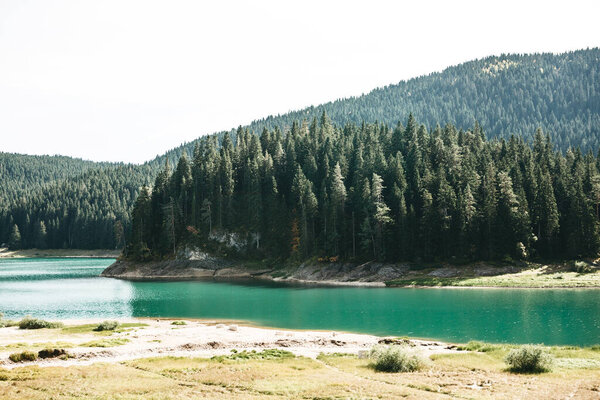 Beautiful view of the lake called Black Lake against the background of the forest in Montenegro. Natural landscape.