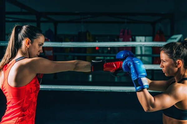 Portret Van Twee Vrouwen Bokstraining Sportschool — Stockfoto