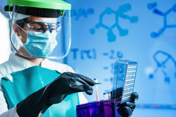 Cientista Que Trabalha Com Amostras Biológicas Laboratório — Fotografia de Stock