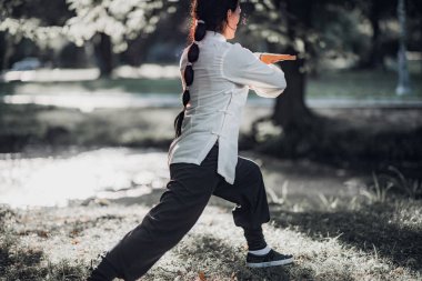 Tai Chi Quan parkta pratik kadın