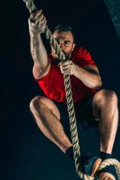 Cross Training Man Exercising Rope Climbing — Stock Photo, Image