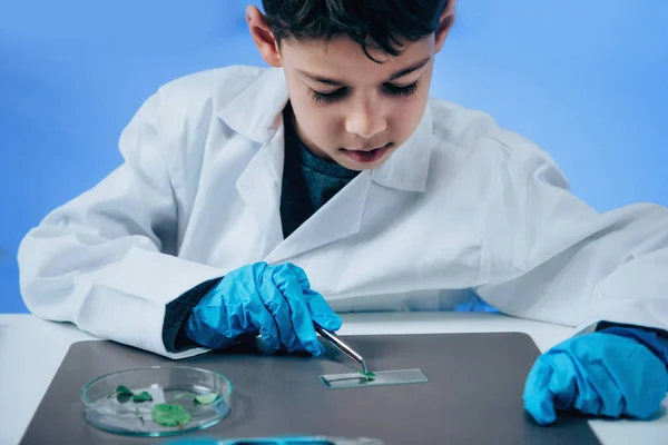 Skolpojke Använder Labbutrustning Laboratorium Utbildning Koncept — Stockfoto