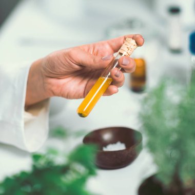 Alternatif bitkisel ilaçlar hazırlanması homeopath.