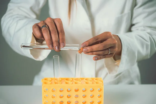 Homeopat Förbereda Naturläkemedel Laboratorium — Stockfoto
