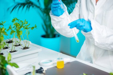 Biyolog örnekleri bitki laboratuvarında incelenmesi