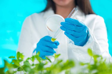 Büyüteç ile örnekleri inceleyerek biyolog.