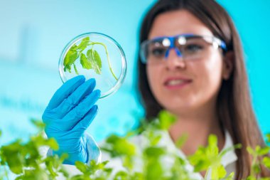 Petri kabına örnekleri inceleyerek biyolog