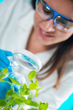 Büyüteç ile örnekleri inceleyerek biyolog.