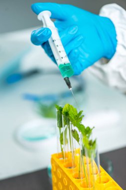 Biyolog teftiş bitki fide laboratuvar  