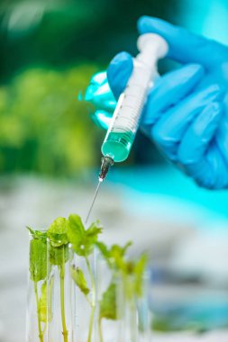 Biyolog teftiş bitki fide laboratuvar  