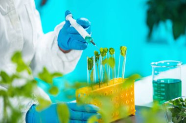 Biyolog teftiş bitki fide laboratuvar