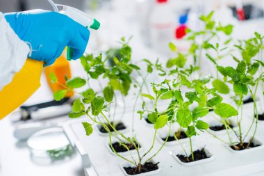 Laboratuar teknisyeni püskürtme fidan laboratuvar