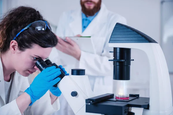 Close Van Onderzoeker Werken Laboratorium — Stockfoto