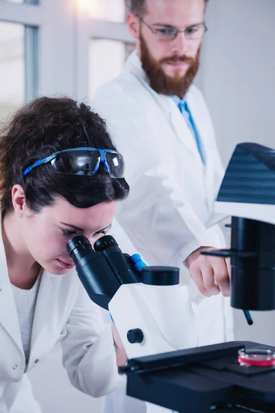 Jonge Vrouwelijke Wetenschapper Doe Test Laboratorium Mannelijke Wetenschapper Notities Buurt — Stockfoto