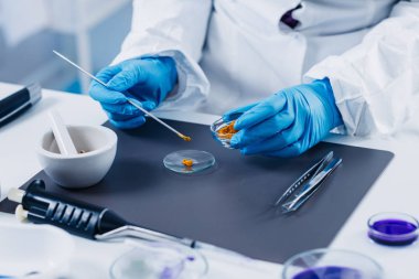 Kalite kontrol laboratuvarı curcuma, teftiş uzman