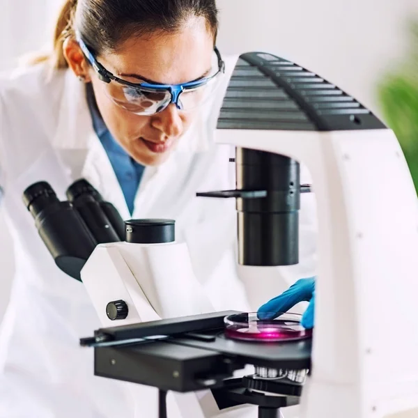 Close Researcher Working Laboratory — Stock Photo, Image