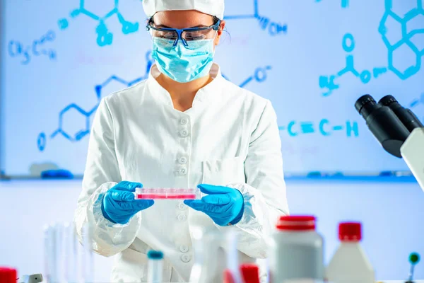 Life Science Researcher Working Laboratory — Stock Photo, Image