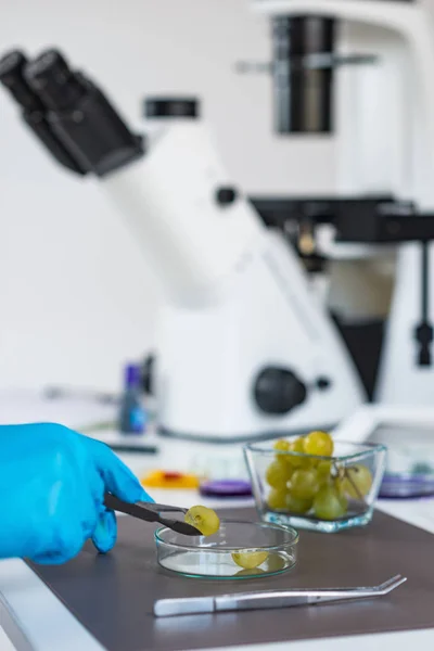 Primer Plano Del Investigador Que Trabaja Laboratorio — Foto de Stock