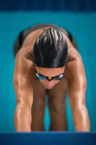 Professionel Svømmer Træning Indendørs Swimmingpool - Stock-foto