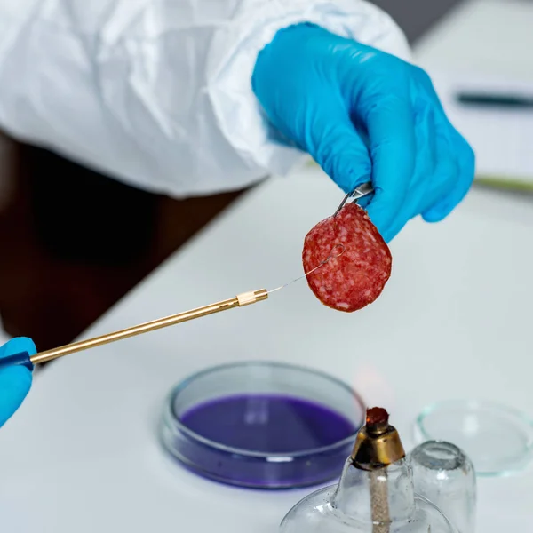 Esperto Controllo Qualità Che Ispeziona Prodotti Base Carne Laboratorio — Foto Stock
