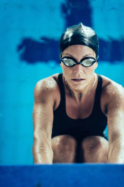 Professionel Svømmer Træning Indendørs Swimmingpool - Stock-foto