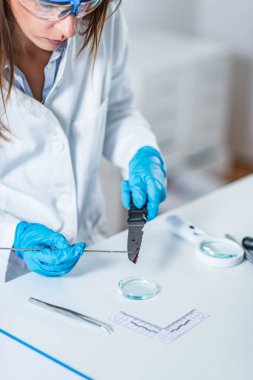 Laboratuvarda çalışan araştırmacı, yakın çekim