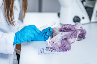 Adli tıp uzmanı bir bez parçası üzerinde kan izleri inceleyerek bir olay yerinde toplanan
