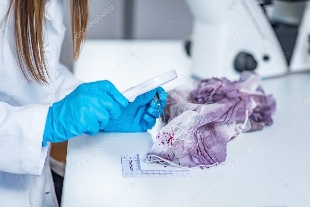 Forensic science expert examining traces of blood on a piece of cloth collected at a crime scene
