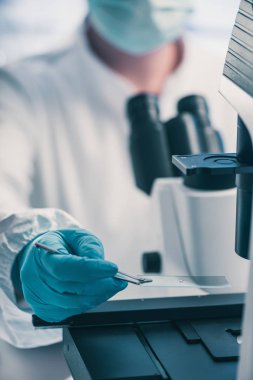 Petri dish, teftiş mikrobiyolog bakteri büyüme gözlemleyerek