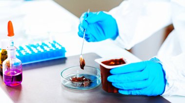 Laboratuvarda çalışan araştırmacı, yakın çekim