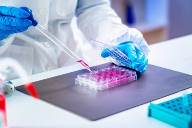 Hayat bilgisi araştırmacı laboratuarda